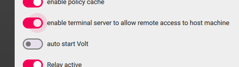 enable terminal server