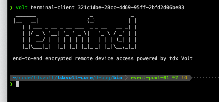 terminal-client interactive mode